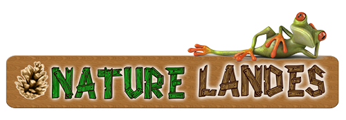 Logo parc de loisirs nature landes hostens